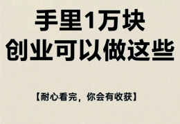 10万元创业小项目多少钱(10万左右的创业项目有哪些?)