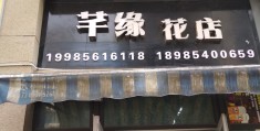 大学生创业项目花店(大学生优秀创业计划书花店)
