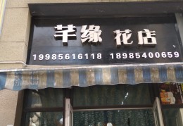 大学生创业项目花店(大学生优秀创业计划书花店)
