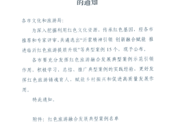 红色旅游网络营销案例(红色旅游网络营销案例分析)