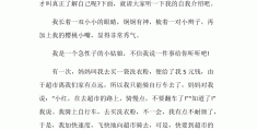 8年级人物传记600字(初二人物传记800字作文)