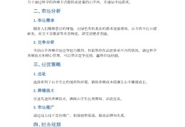 项目计划书如何写大学生活动方案(项目计划书如何写大学生活动方案范文)