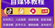 头条怎么创作合集作品呢视频(头条怎么创作合集作品呢视频教程)