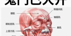 耳鸣烦恼的说说大全的简单介绍