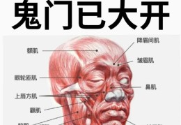 耳鸣烦恼的说说大全的简单介绍