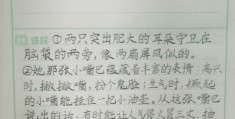 作文写人物的好句(描写人物作文的好词好句)