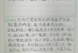 作文写人物的好句(描写人物作文的好词好句)
