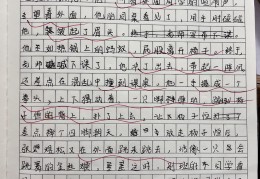 课间描写一个人的动作(课间描写一个人作文200字)