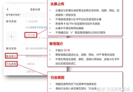 今日头条企业号认证费用多少(今日头条企业认证和个人认证区别)