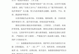 护理求职计划书范文(护理求职计划书范文模板)