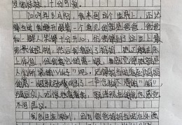 妈妈小传作文800字初二优秀(妈妈小传作文800字初二优秀小标题怎么写)