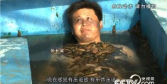 致富经cctv17澳洲龙虾(致富经澳洲淡水龙虾养殖视频90后)