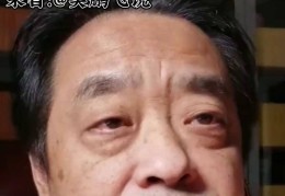 吴鹏飞是谁?(吴鹏飞是谁的儿子呀)
