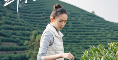 三十而已有能力的女人(三十而已的女人经典语录)
