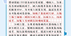 乡村振兴项目简介500字范文(乡村振兴项目简介500字范文图片)