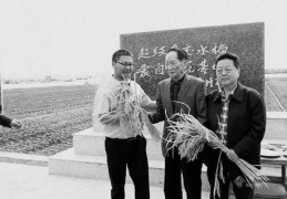 写一篇人物袁隆平传记300字左右(写一篇人物袁隆平传记300字左右作文)