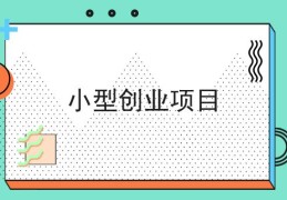 21年创业小项目(创业小项目排行榜前十名)