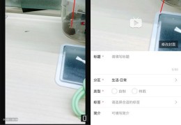 头条号手机怎么发布视频(头条号手机怎么发布视频教程)