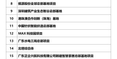 什么算重大项目(重大项目的标准是多少金额)