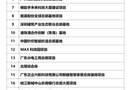 什么算重大项目(重大项目的标准是多少金额)
