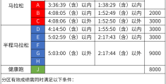 马拉松专业运动员等级查询(马拉松专业运动员等级查询网)