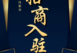 互联网产品招商方案设计(互联网平台招商策略与计划)