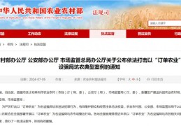 农村新型项目骗局案例(农村新型项目骗局案例分析)