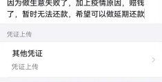 支付宝借款延期还款(支付宝借款延期还款怎么操作)