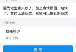 支付宝借款延期还款(支付宝借款延期还款怎么操作)