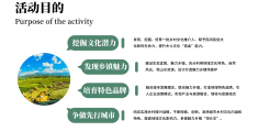 乡村振兴策划案模板(乡村振兴策划书怎么写)