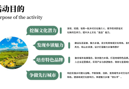 乡村振兴策划案模板(乡村振兴策划书怎么写)