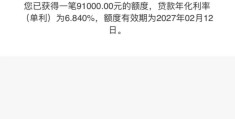 十万元无息贷款(10万无息贷款每月要还款多少)