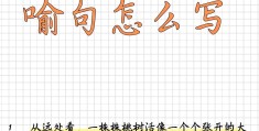 人物描写摘抄和仿写(人物描写摘抄仿写大全100字)