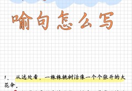 人物描写摘抄和仿写(人物描写摘抄仿写大全100字)