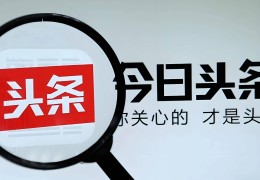头条号创作者入口在哪里(头条号创作领域在哪里选择)