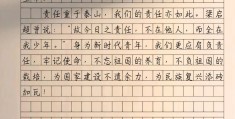 人物素材积累100字责任担当(关于责任担当的人物素材100字)
