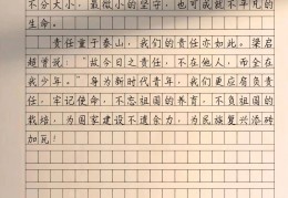 人物素材积累100字责任担当(关于责任担当的人物素材100字)