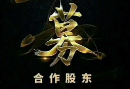 网络项目资源网全网最低价合伙人的简单介绍