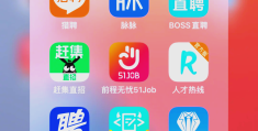求职网站排行榜前十名(求职网站排行榜前十名忧缺点)