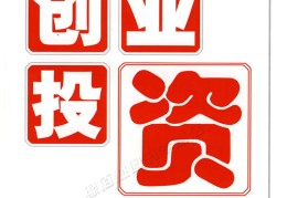搞什么创业投资比较小一点呢(搞什么创业投资比较小一点呢女生)