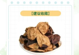 陈皮性味归经功效与作用(陈皮性味归经功效作用用量)