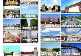 全媒头条创始人简介是谁啊(全媒头条创始人简介是谁啊图片)