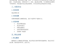 创业项目怎么写模板图片(创业项目怎么写模板图片大全)