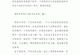 我的爷爷人物小传600字作文初二(我的爷爷人物小传600字作文初二下册)