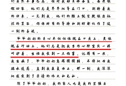 关于亲情的人物细节描写(关于亲情的突出人物描写的作文,600以上)