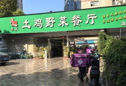 野菜专卖店的行业背景(野菜专卖店的行业背景怎么写)