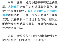 大学生的求职补贴大约什么时候发放的(大学生的求职补贴大约什么时候发放的呢)