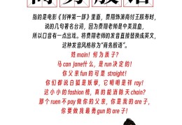 包含网络用语(什)是什么意思的词条