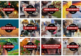 今日头条自媒体平台素材一般哪里找的简单介绍