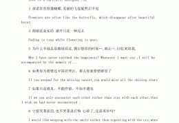 职场英语句子摘抄大全带翻译图片(职场英语句子摘抄大全带翻译图片下载)